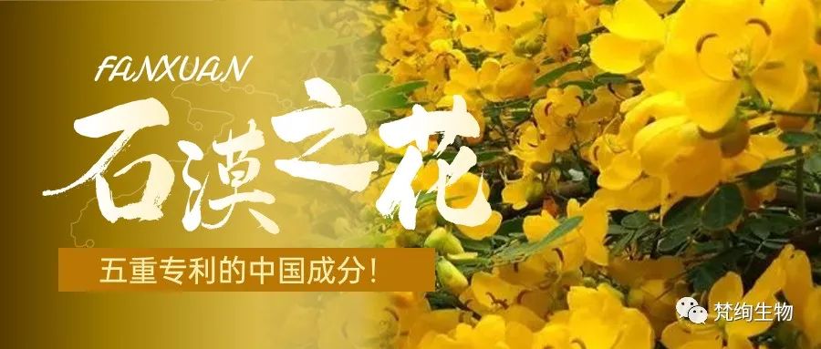 01 Blog